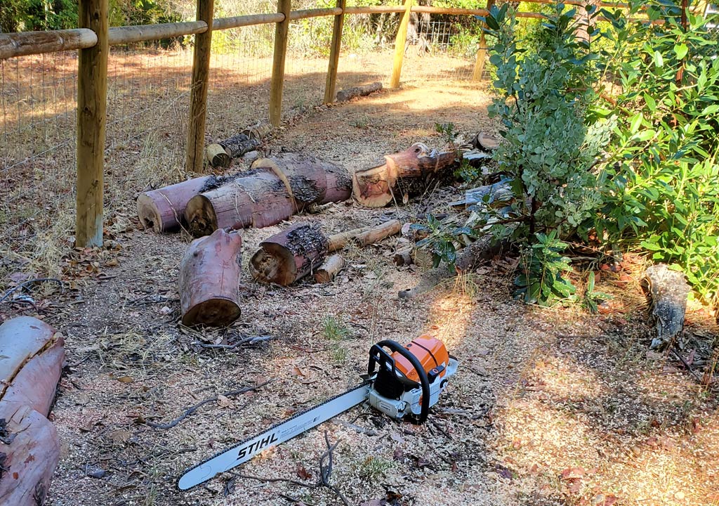 chainsaw clearing around structures